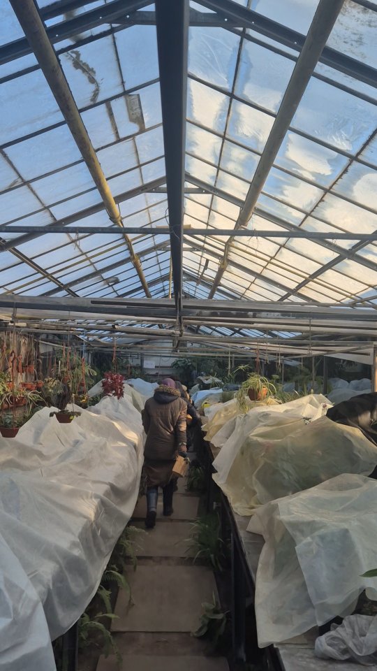 Тут могла б бути красива музика і квітучі азалії в кадрі. Але покищо щоденна праця виглядає саме так, без прикрас. Як і в більшості ботанічних садів України. Збережемо для історії, аби влітку, коли буде +40 градусів в теплицях було нагадування,що так не завжди. Все тимчасово. Треба якось пережити. Почекати. Але діяти! Робити все можливе.
Дякуюємо нашим волонтерам за підтримку, а працівникам за сумлінну працю. Ми точно маємо витримати!