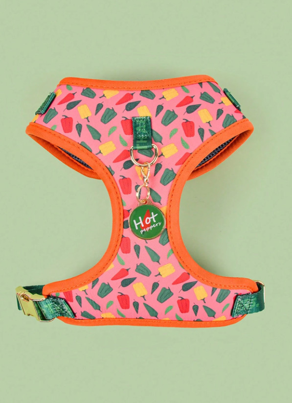 SHEIN SZELKI DLA PSA S07__S