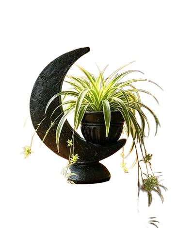 SHEIN CZARNY KSIĘŻYC OZDOBA S07 15x9x4cm
