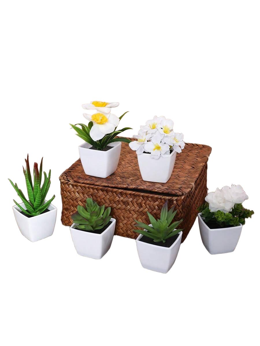 SHEIN SZTUCZNE KWIATY SUKULENTY 6 PACK S07__9X9CM
