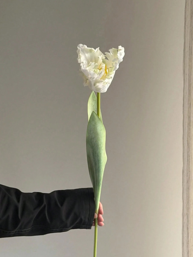 SHEIN SZTUCZNY KWIAT 1 SZT S07__64CM