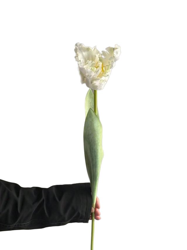 SHEIN SZTUCZNY KWIAT 1 SZT S07__64CM