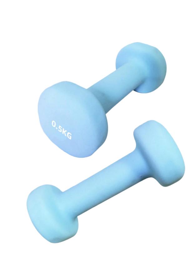 SHEIN HANTEL 0,5 KG 2-PACK S07