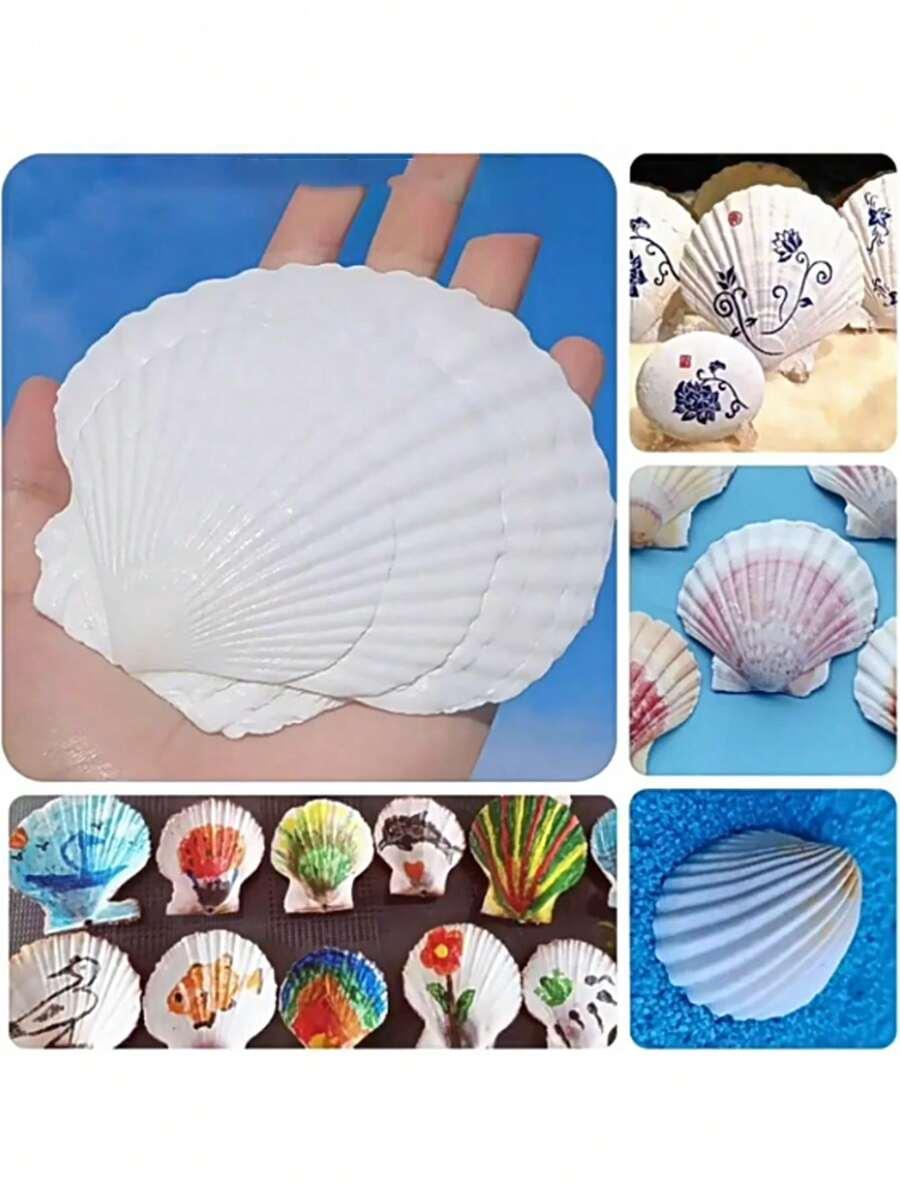 SHEIN BIAŁA MUSZLA 10-PACK S07__10CM