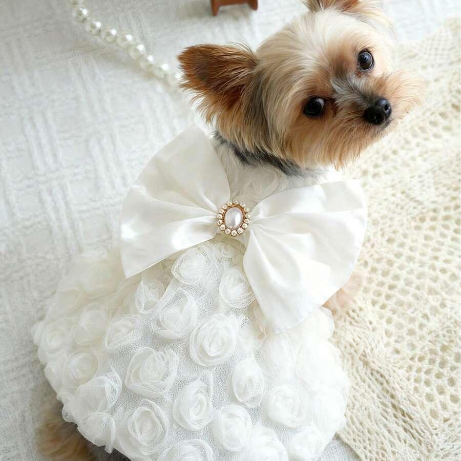SHEIN UBRANIE DLA PSA S07__XS