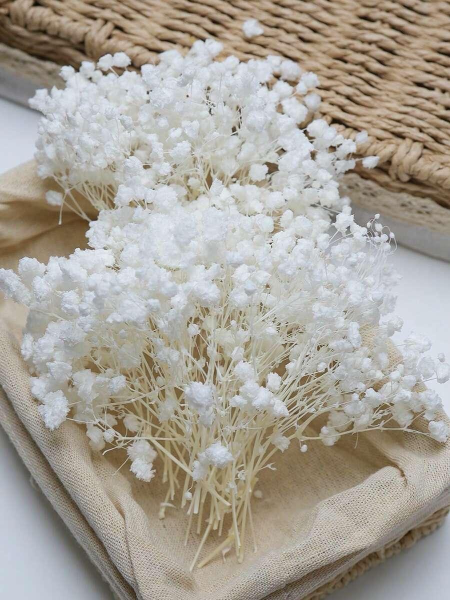 SHEIN BIAŁA GIPSÓWKA 25SZT. S07