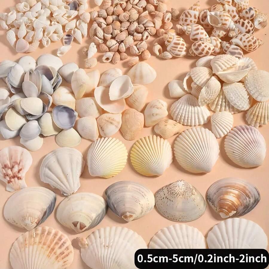 SHEIN MUSZELKI 100 SZTUK S07