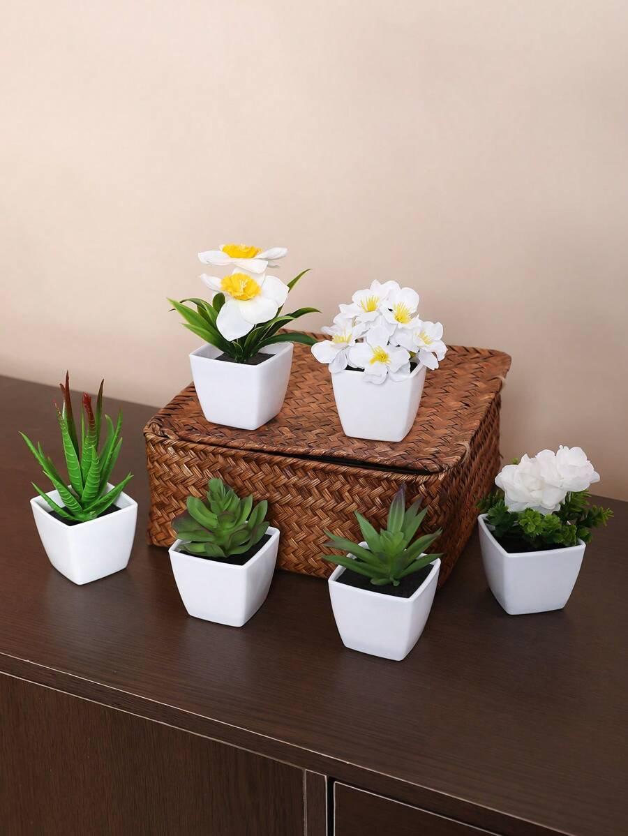 SHEIN SZTUCZNE KWIATY SUKULENTY 6 PACK S07__9X9CM