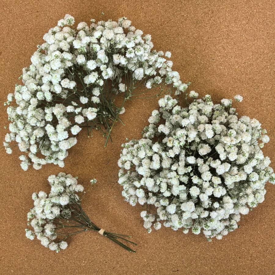 SHEIN SZTUCZNY KWIAT GIPSÓWKA 300 SZTUK S07__10CM