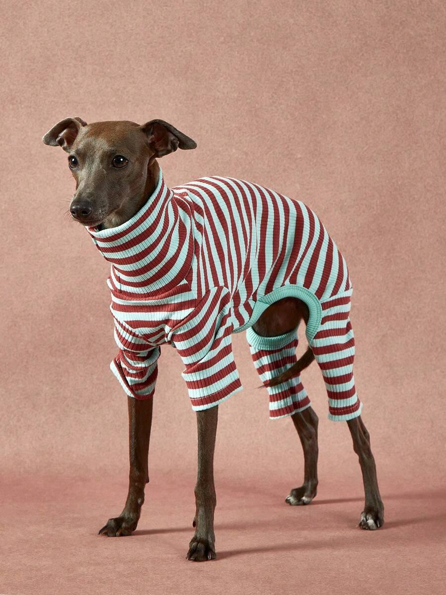 PETSIN SWETER DLA PSA S07__XL