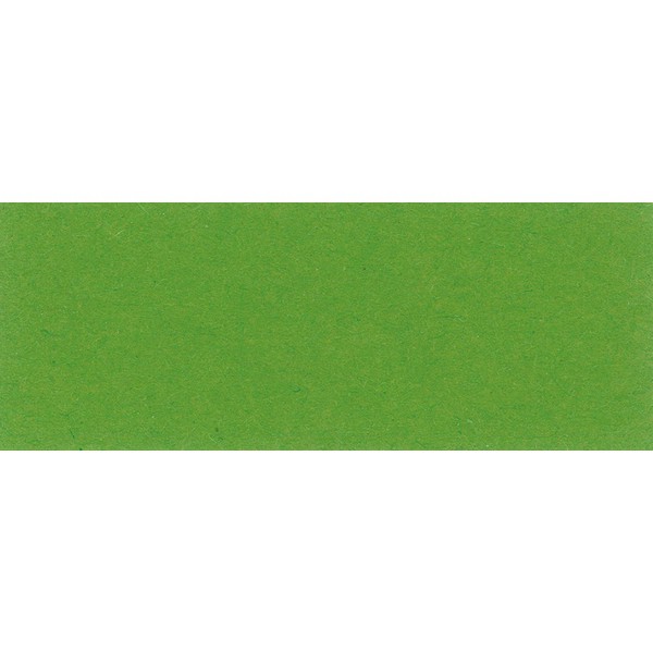 Karton fotograficzny zieleń trawy 300 g/m2, 50 x 70 cm, 25 arkuszy