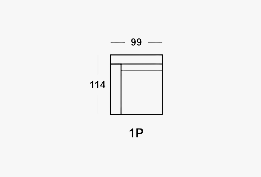 1P