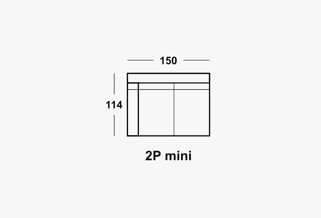 2P MINI