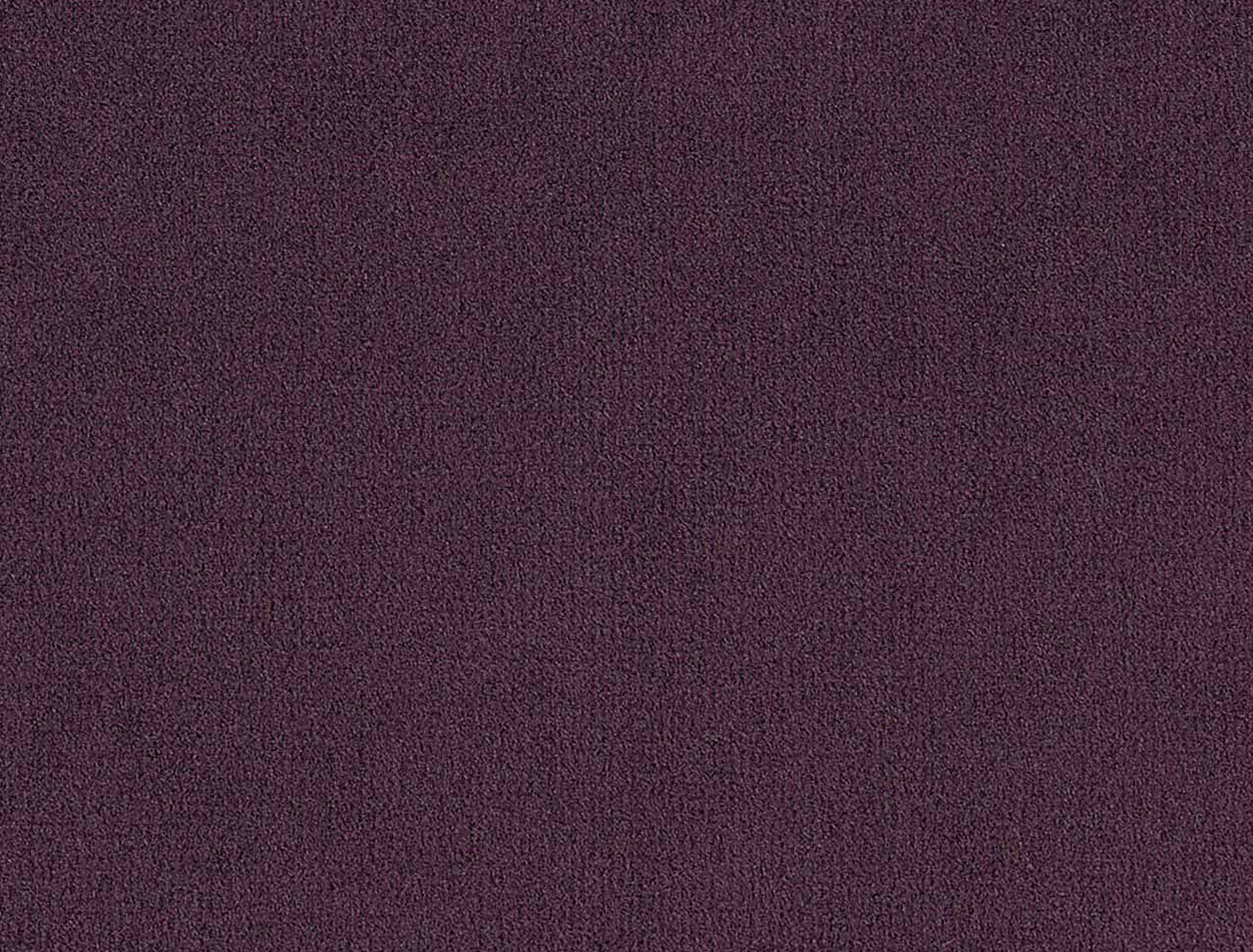 seven-blackberry-177