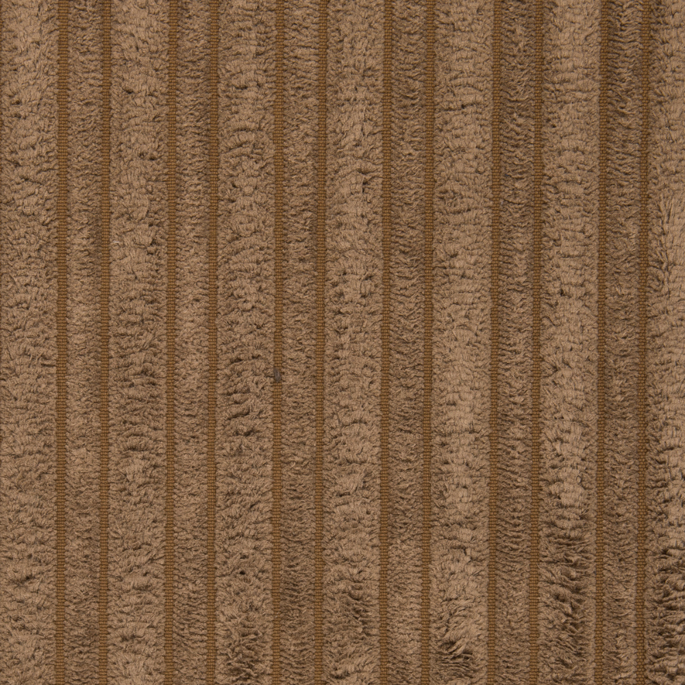 Ritz 801