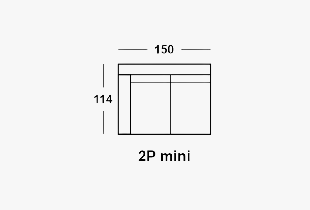 2P MINI