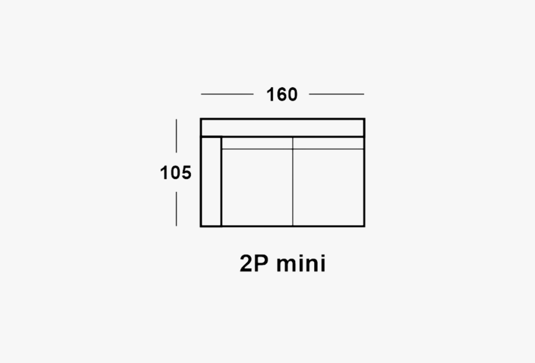 2P MINI