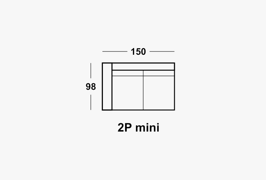 2P MINI
