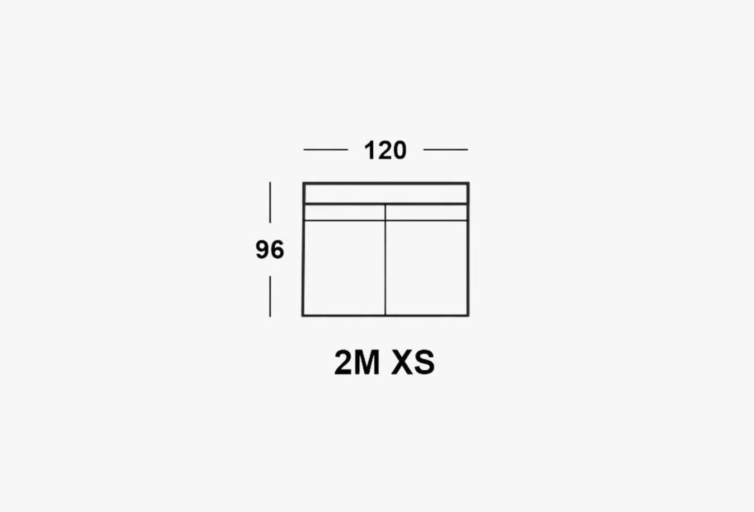 2M_XS