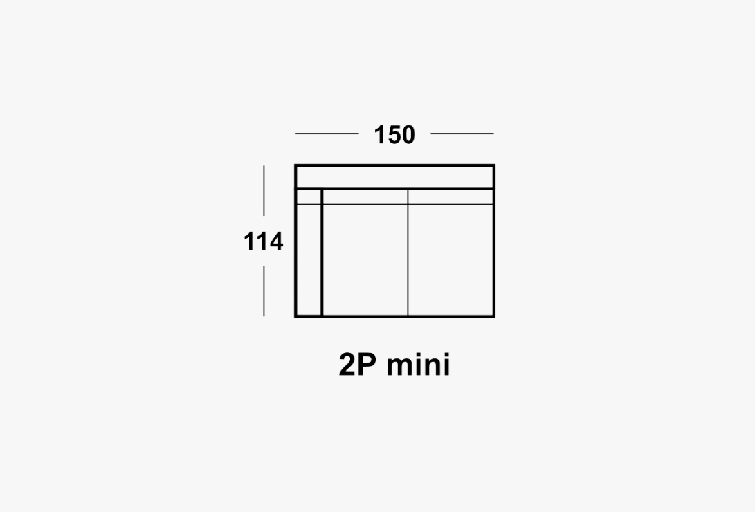2P MINI