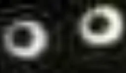 :blackcat_eyes:
