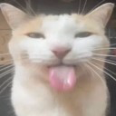 :bleh: