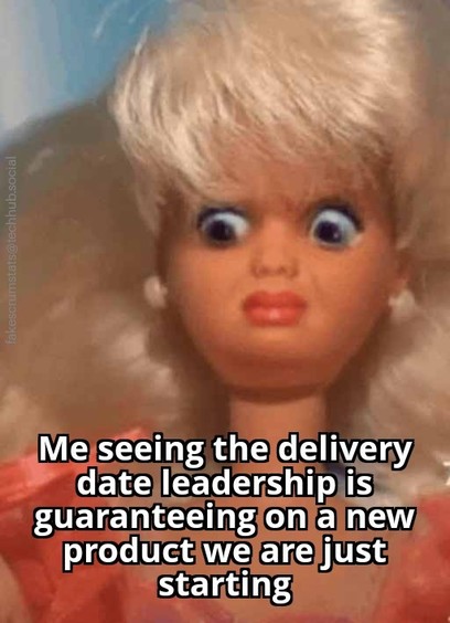 Barbie doll looking down in shock

Caption: Me seeing the delivery date leadership is guaranteeing on a new product we are just starting