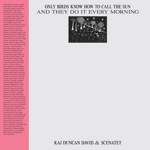 Record cover of Kaj's LP. It's a minimalistic cover which is mostly empty, on the top there's a small black and white drawing with birds, trees and plants.