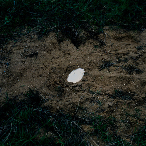 Record cover of the Monasunne record. It's a sandy forest floor with a little patch of water in the middle. There is traces of small stones, grass and leaves around it