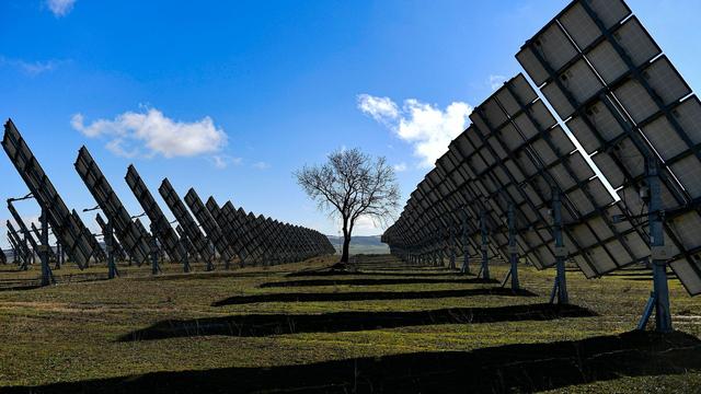 A tree is surrounded by solar panels in Los Arcos, Navarra Province, northern Spain. | Copyright AP Photo/Alvaro Barrientos, File A tree is surrounded by solar panels in Los Arcos, Navarra Province, northern Spain. | Copyright AP Photo/Alvaro Barrientos, File
