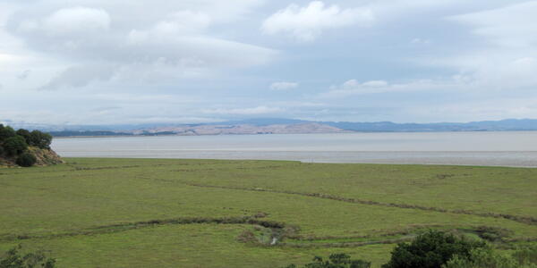 View looks out across a verdant marsh with a sinuous water channel running through it, a large body of water in background.