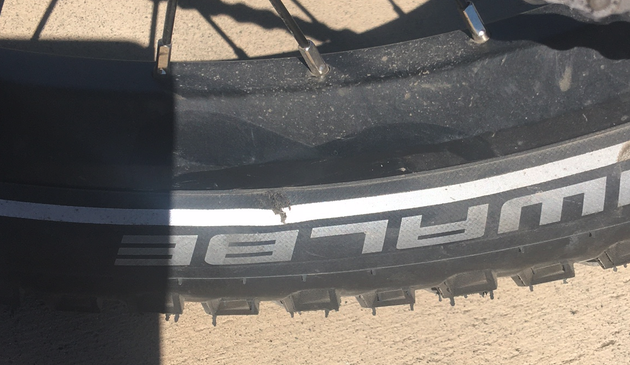 Closeup photo of a small but non-trivial nick in the sidewall of a 2 inch wide tire near the rim. Likely schwalbe.