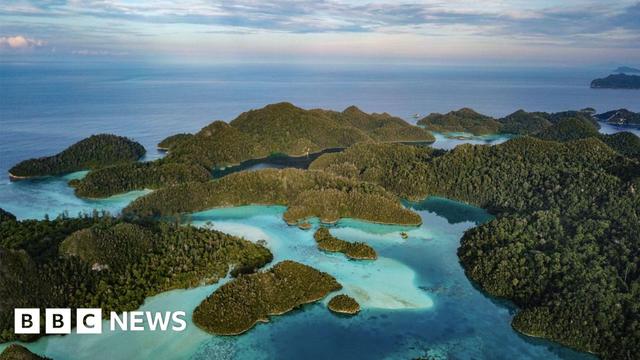 An aerial photograph of a group of small, forested islands in turquoise blue seas. This is a view of a small section of hundreds of islands that make up the The Raja Ampat archipelago - a group of small islands in the country's Southwest Papua Province is sometimes referred to as the "Amazon of the Seas".