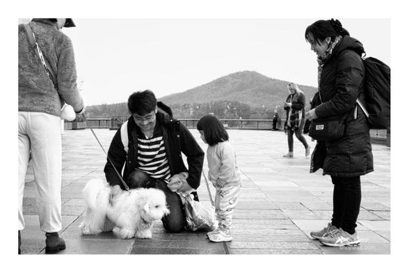 Black and white photo of a man kneeling and petting a white fluffy dog. Besides them, a Japanese girl hesitates in greeting the dog. Standing on either side of the picture are the owners of the dog and the girl.