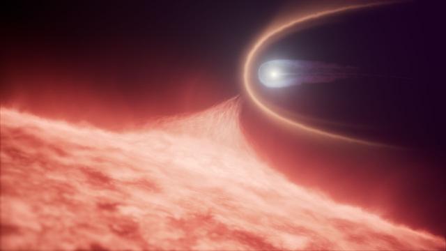 white dwarf
