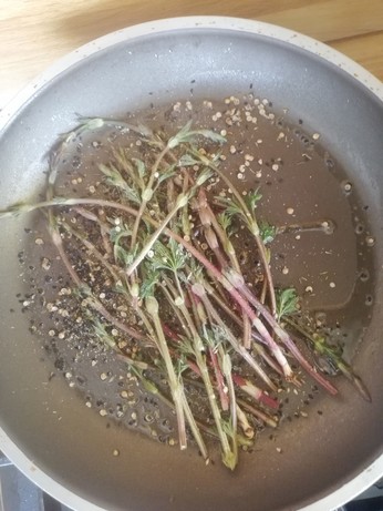 Hop shoots with spices in a pan 
