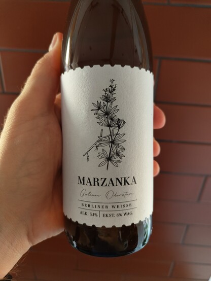 Etykieta przód piwa Marzanka z browaru Stara Szkoła. 
