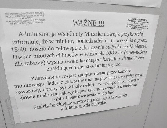 Kartka