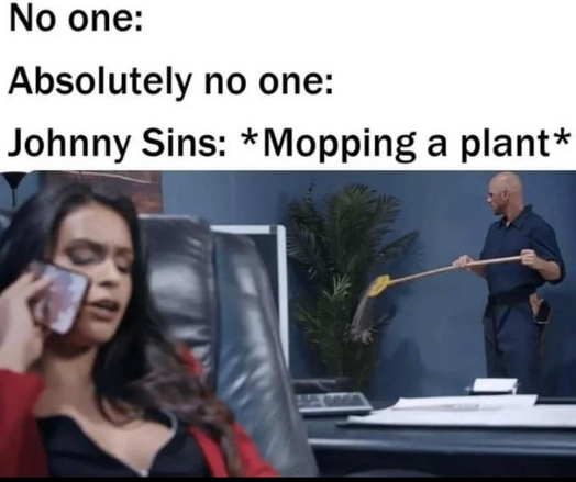 No one:
Absolutely no one:
Johnny Sins: *Mopping a plant*
*a screengrab from an adult movie where Johnny Sins is using a mop to clean a plant*