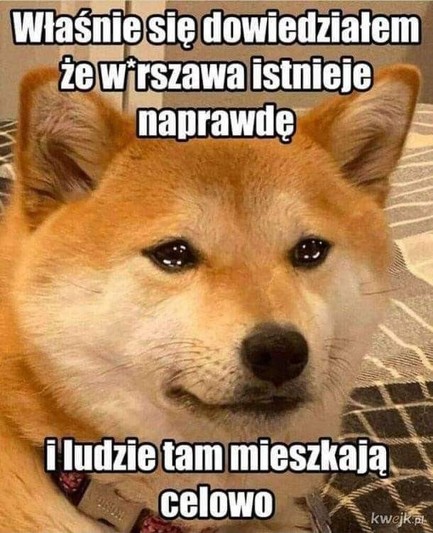 smutny piesek: „Właśnie się dowiedziałem że w*rszawa istnieje naprawdę i ludzie tam mieszkają celowo”