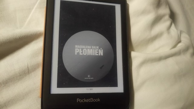 Okładka e-booka "Płomień" Magdaleny Salik. E-book ma 301 stron.