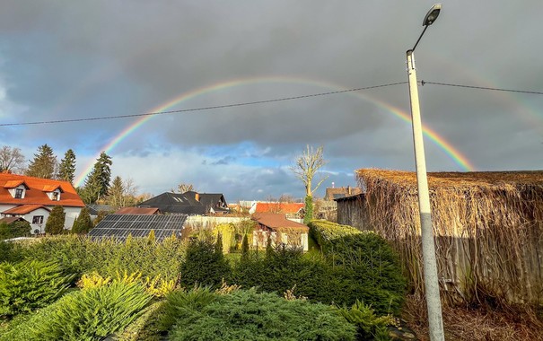 Tęcza nad dzielnicą mieszkalną z domami, gęstymi krzewami i latarnią na pierwszym planie.
