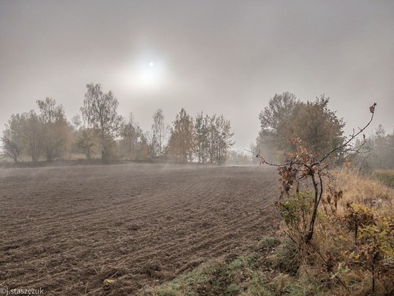 Mglisty krajobraz z zaoranym polem, z drzewami w tle i słabym słońcem częściowo zasłoniętym przez chmury. Scena przekazuje spokojną, jesienną atmosferę.