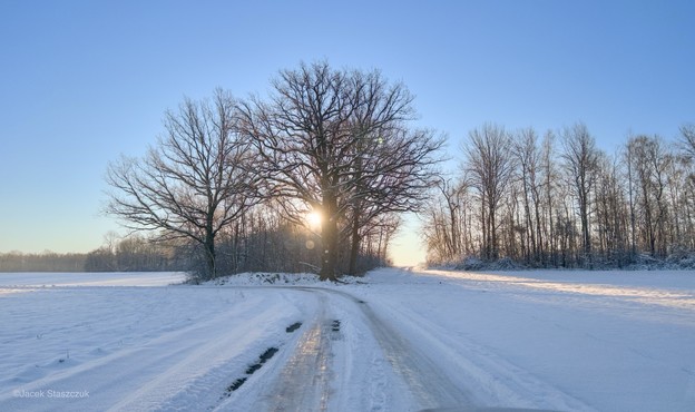 Śnieżny krajobraz z polną drogą wijącą się przez niego, otoczony przez gołe drzewa. Słońce zachodzi za dużym drzewem, rzucając ciepły blask. Niebo jest czyste i błękitne, co wzmacnia spokojną zimową scenę.