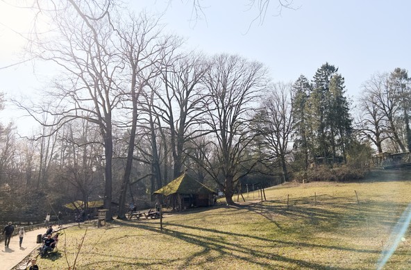 Ogólny widok na polane w parku 
