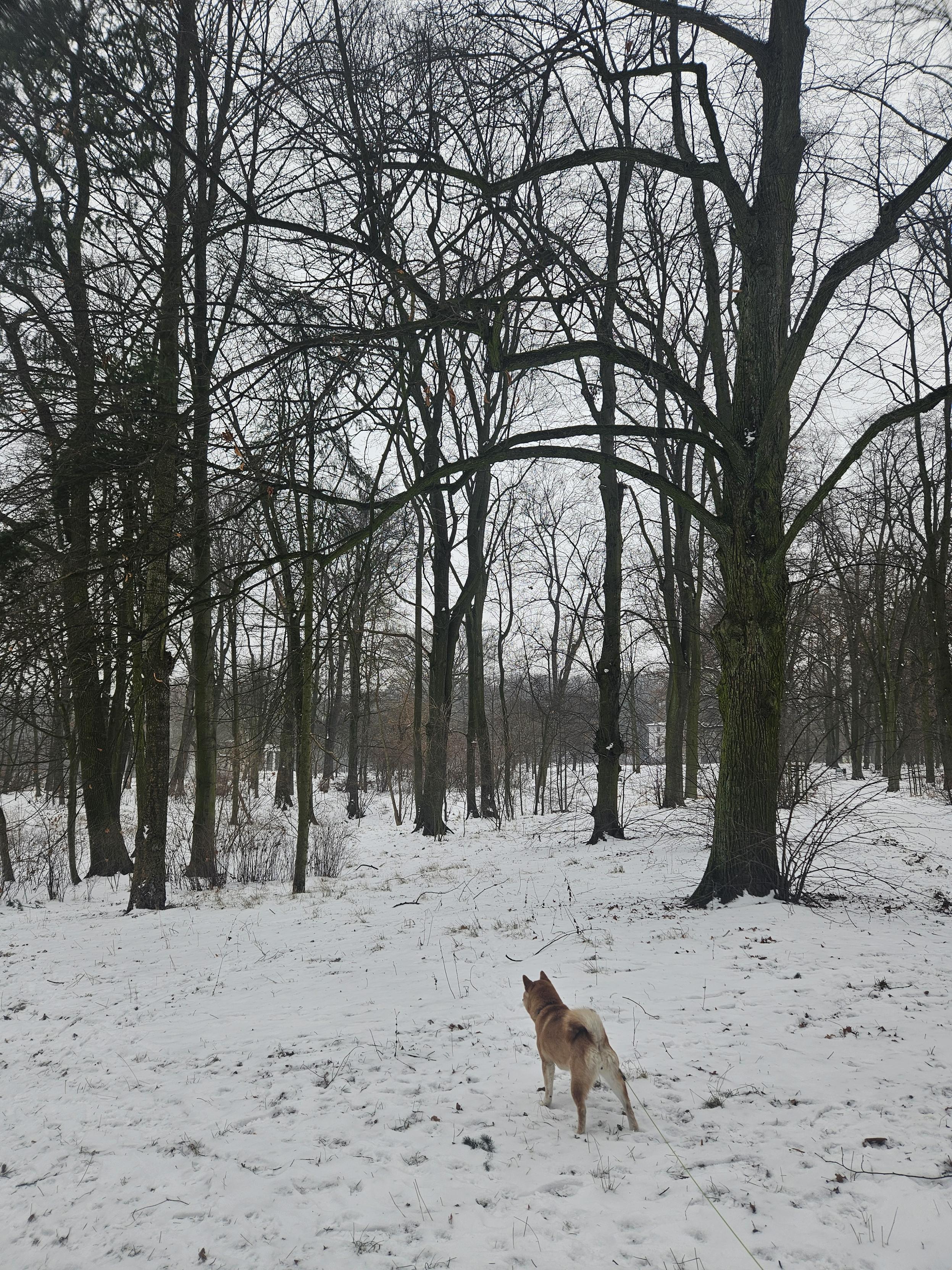 Sorry, no caption provided by author