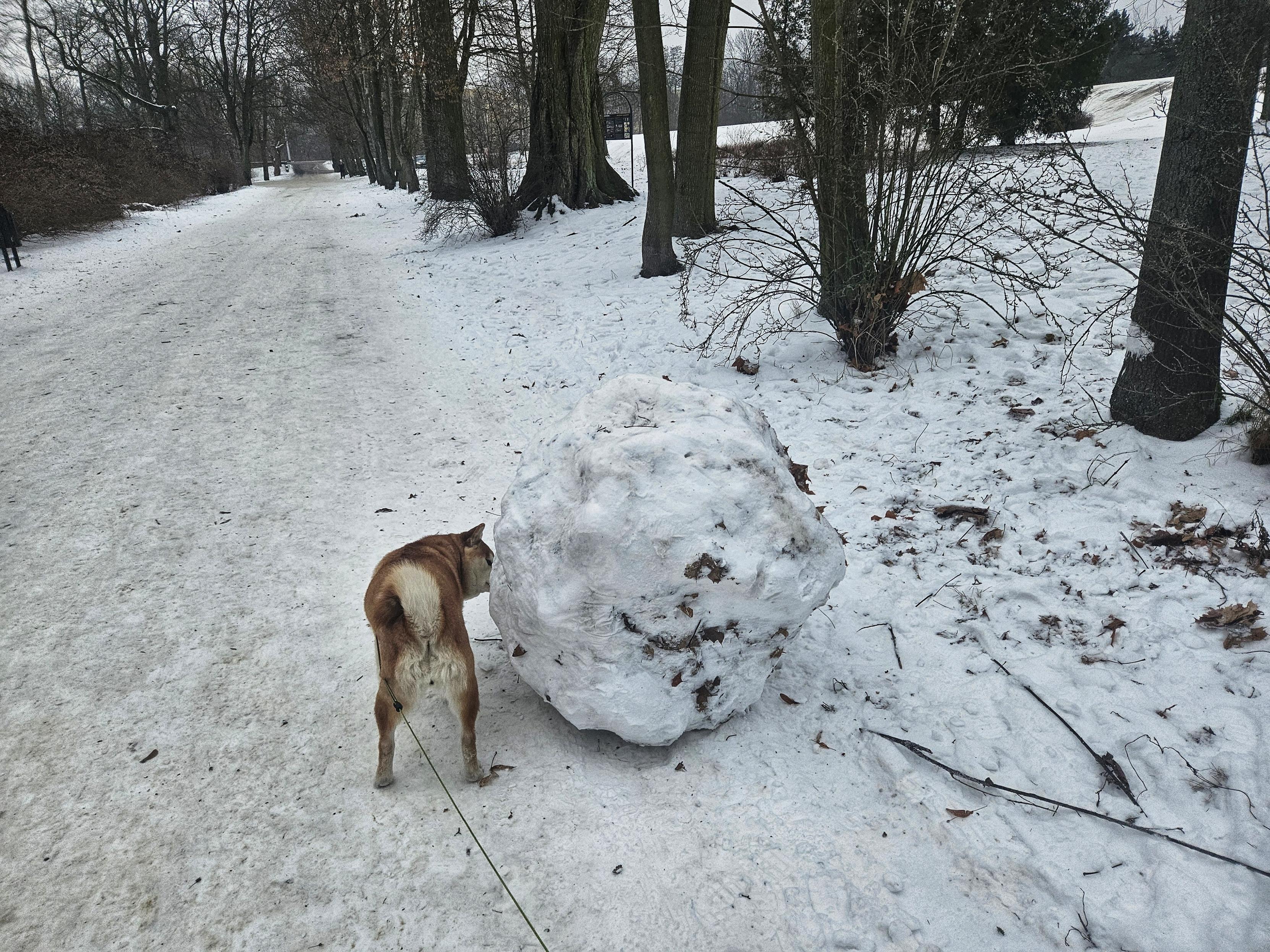 Sorry, no caption provided by author