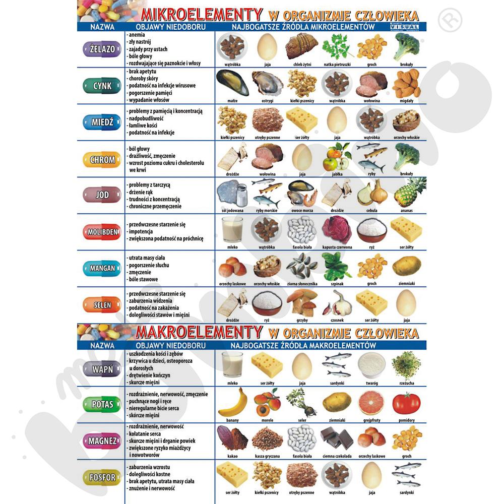 Plansza dydaktyczna - mikroelementy i makroelementy w organizmie człowieka