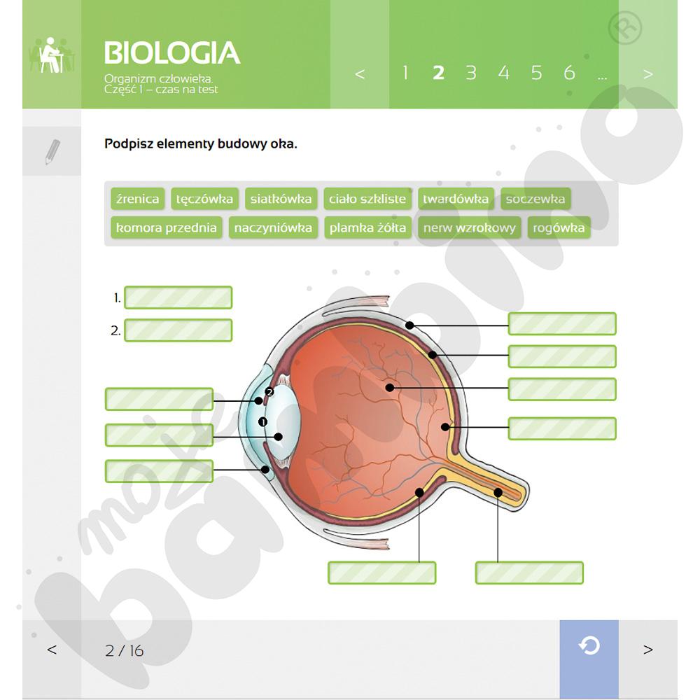 MPP Biologia, kl. 5-8 - licencja dla nauczycieli