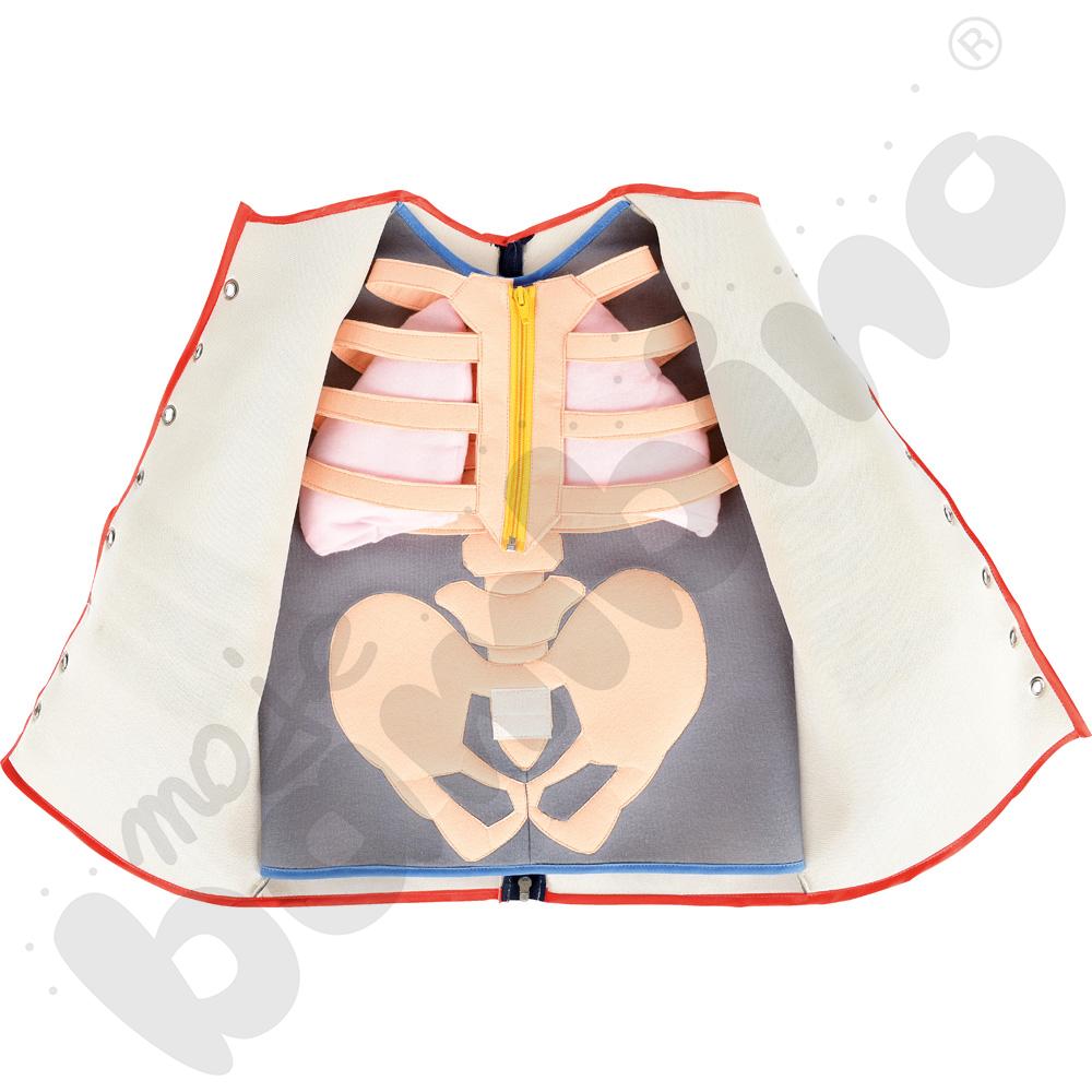 Kamizelka Organy wewnętrzne